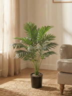 Areca palm